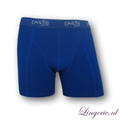 Cavello Boxer