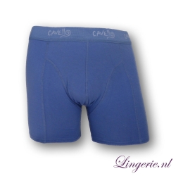 Cavello Boxer