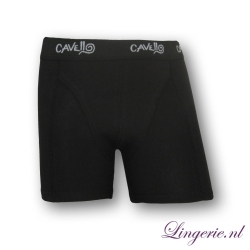 Cavello Boxer