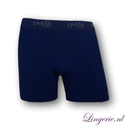Cavello Boxer